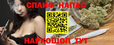 стаф Будённовск