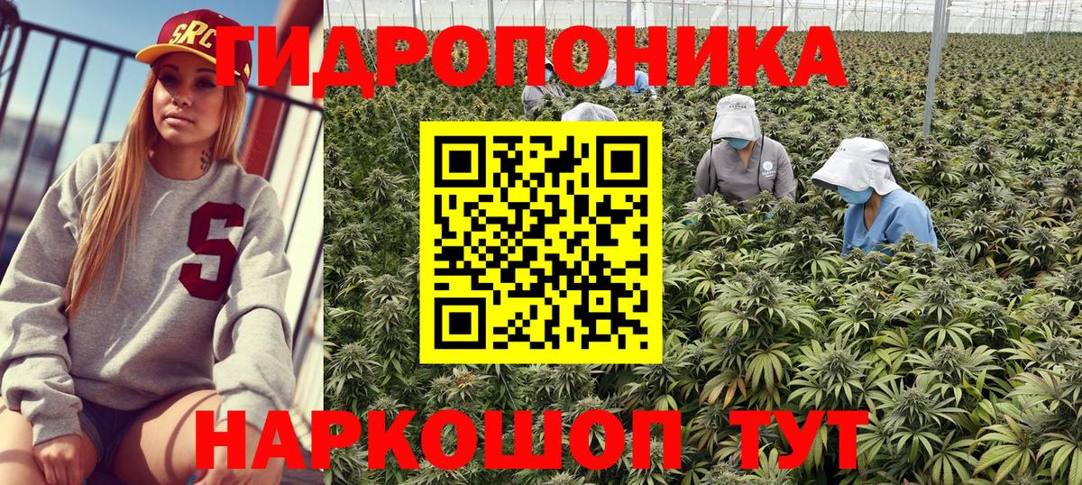 Бошки марихуана планчик  Бошки Шишки Amnesia  Ачхой-Мартан  МАРИХУАНА ГИДРОПОН  Вход с VPN  Конопля ГИДРОПОН 